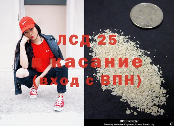 прущий лед Богданович