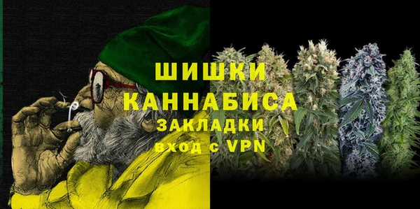 прущий лед Богданович