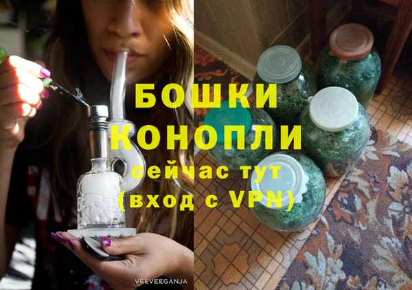 прущий лед Богданович