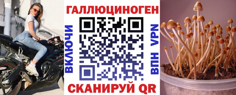 KRAKEN рабочий сайт Симферополь Псилоцибиновые грибы Magic Shrooms купить цена